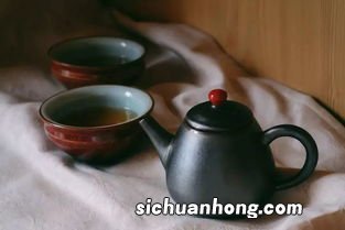 泡青茶用什么茶具