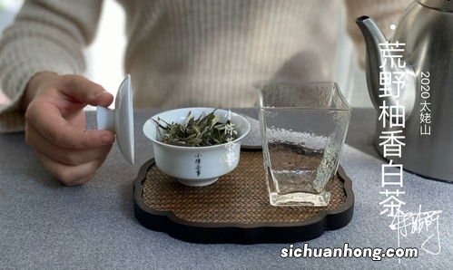 为什么茶叶要洗