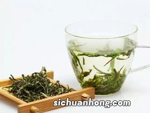 绿茶什么时候生产的最好