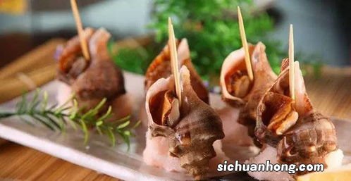 海螺什么时候最好