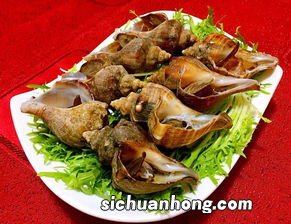 海螺什么季节吃好