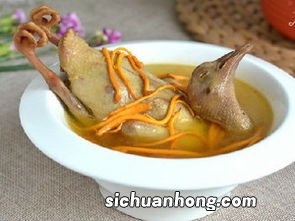 鸽子汤网络是什么意思