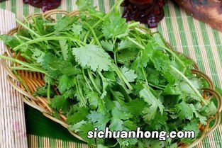 感冒发烧吃什么主食好