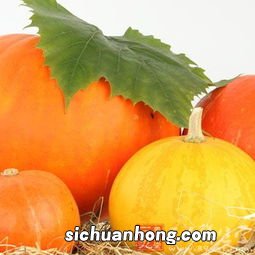 感冒发低烧吃什么菜好