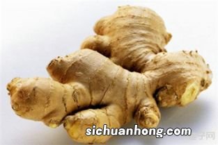 感冒发低烧吃什么菜好