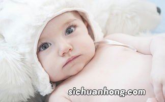 感冒发低烧吃什么菜好