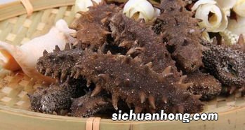 发海参用什么容器好