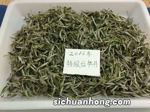 大毫茶属于什么茶