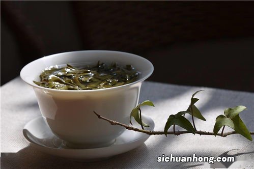 茶叶梗泡茶有什么功效