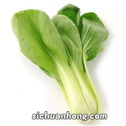 婴儿怎么吃油菜