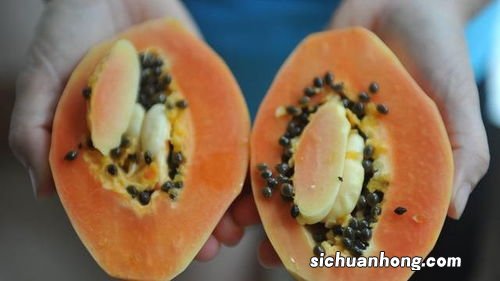 吃什么水果修复胃黏膜