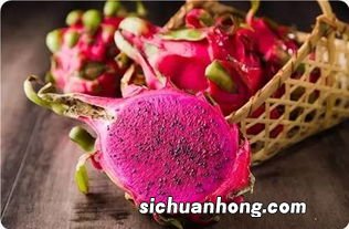 吃什么水果可以顺气