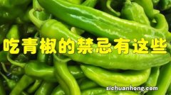 吃青尖椒有什么好处