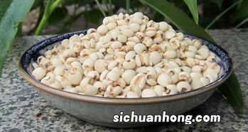 薏米怎么做可以去湿气吗
