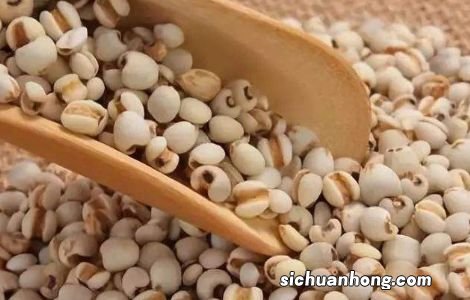 薏米怎么煮比较快