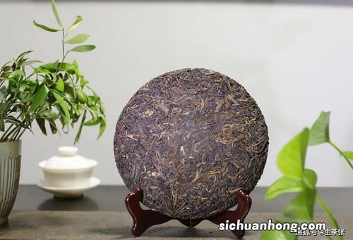 普洱生茶什么样才好