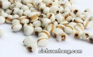 薏米怎么食用才能除湿
