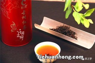 什么古树红茶好喝