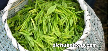 云南主要有什么茶叶