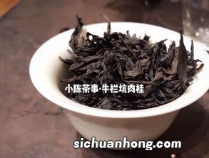 一般做岩茶是什么品种