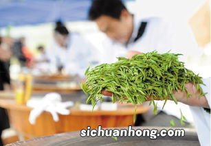 九曲红梅茶有什么禁忌6