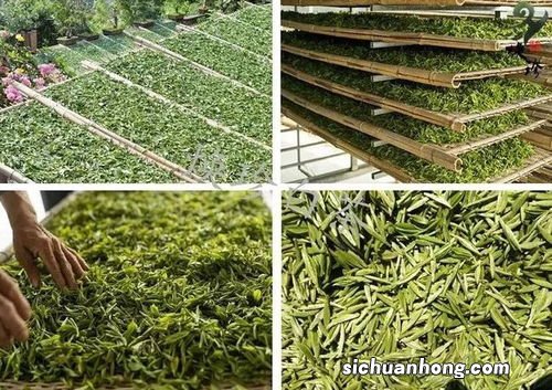 茶叶的萎凋是什么意思6
