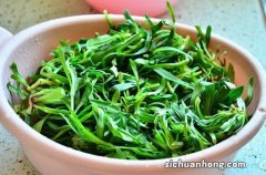 野菜面条菜怎么吃