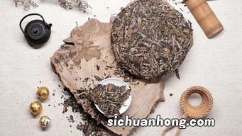 白茶是什么茶品种6