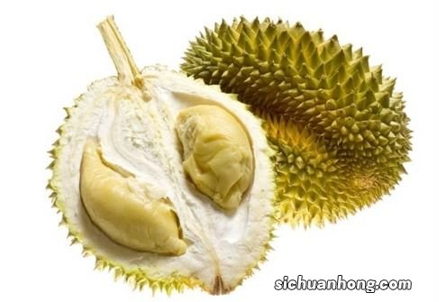榴莲冻可以放多久
