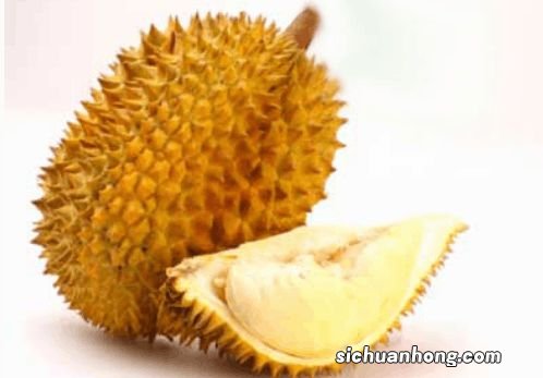 榴莲冻可以放多久