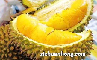 冷冻榴莲保存多久