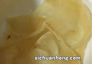 苦笋要泡多久才能煲汤