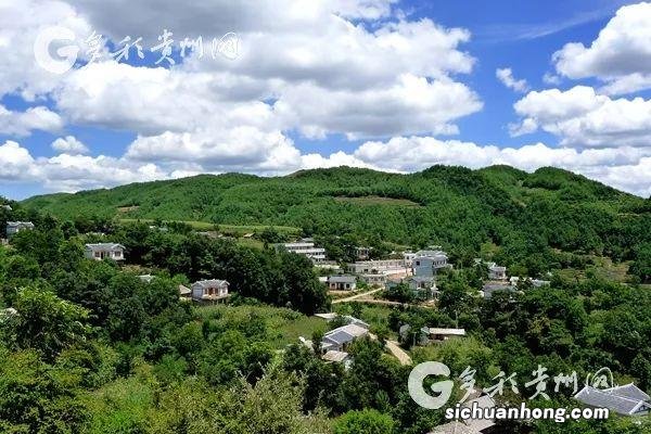 端午谚语有哪些