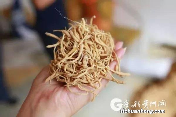 端午谚语有哪些