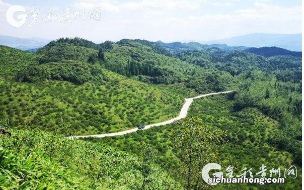 端午谚语有哪些