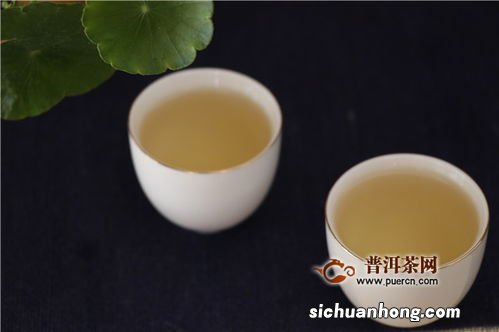 为什么普洱茶里有氨水味