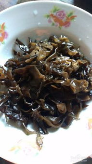 洋葱木耳黄瓜怎么做好吃