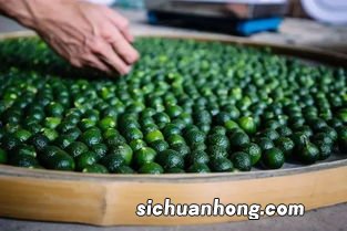 小青柑配什么茶好点