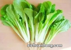 大白菜小白菜是什么茶