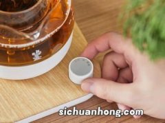 煮茶器有什么讲究