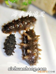 海参泡需要泡多久