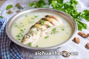 鱼汤炖什么好吃