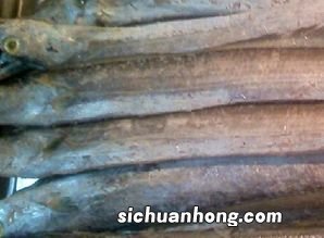 鱼鳅和什么食物相克