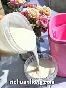 养生壶做酸奶要多久