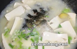 鱼跟什么一起炖好喝