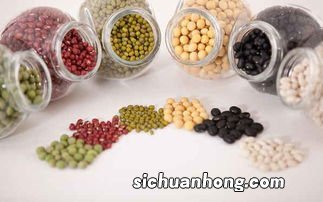 有胃病的人吃什么菜
