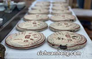 为什么大益普洱茶这么贵
