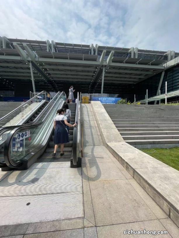 东宫小枫的娘怎么死的