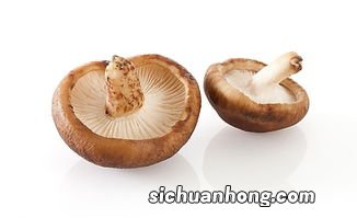 新鲜香菇能保存多久