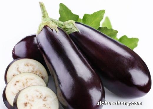鱿鱼为什么与茄子相克